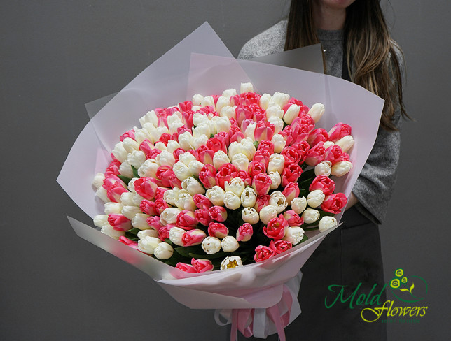 Букет из белого и розового тюльпана (ПОД ЗАКАЗ, 10 дней) Фото